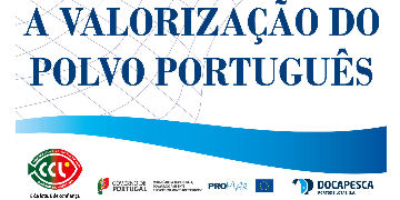 Sul Informação - Docapesca ensina a “comer” polvo com Aulas de Culinária no Mercado de Albufeira