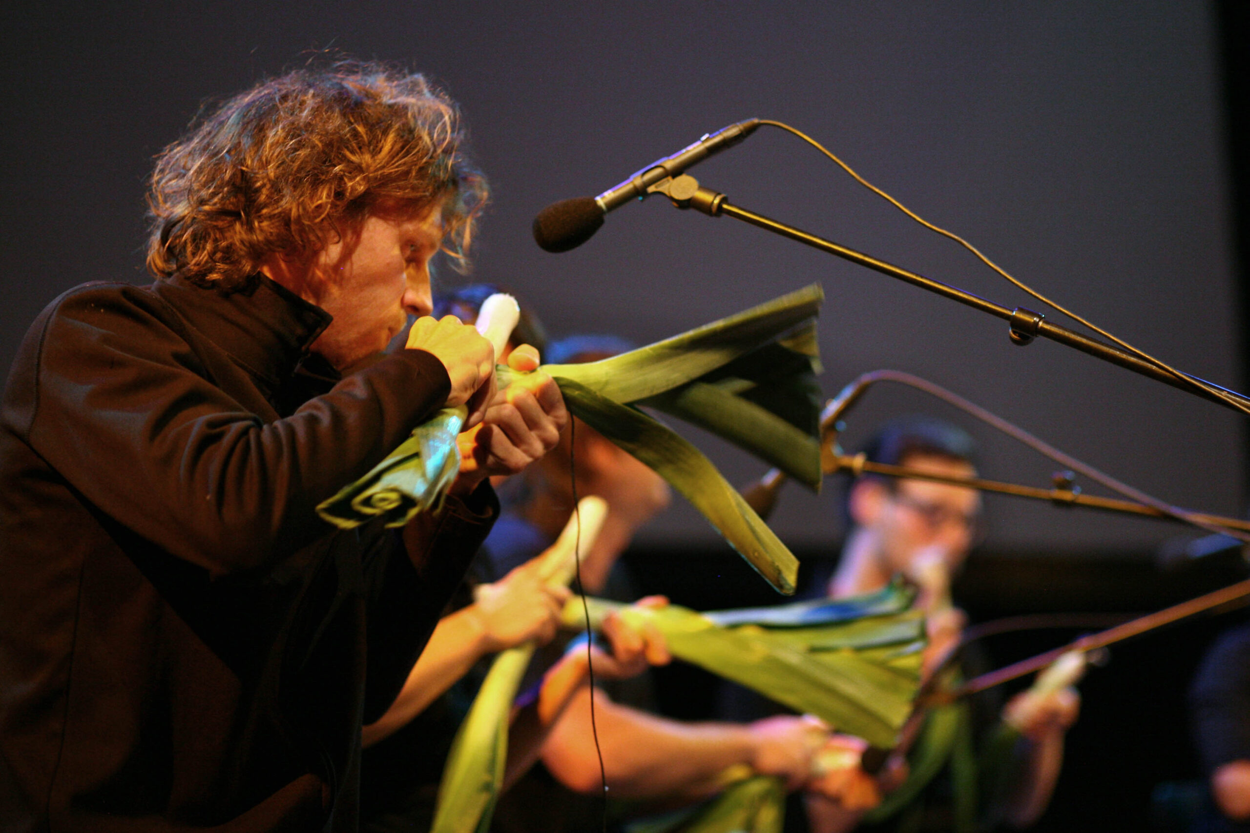 Sul Informação - Vegetais são estrelas no arranque do “Central Artes”