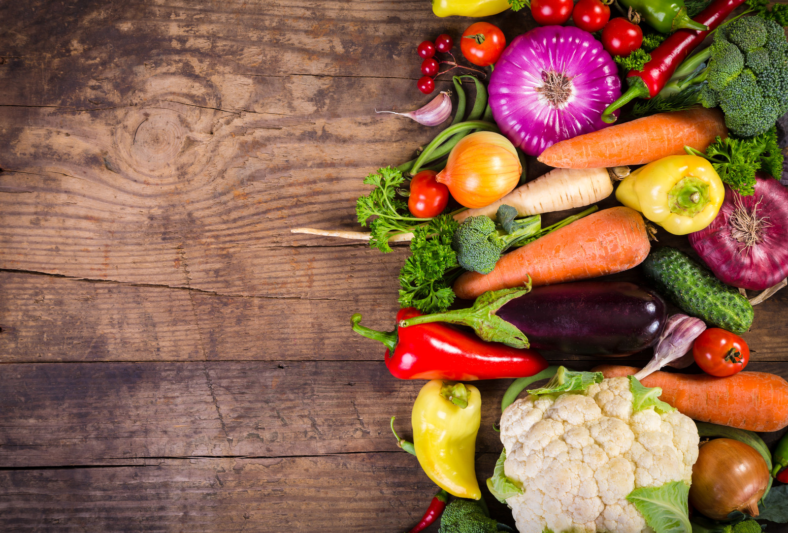 Sul Informação - Escola de Quarteira recebe seminário sobre refeições vegetarianas para crianças nas cantinas