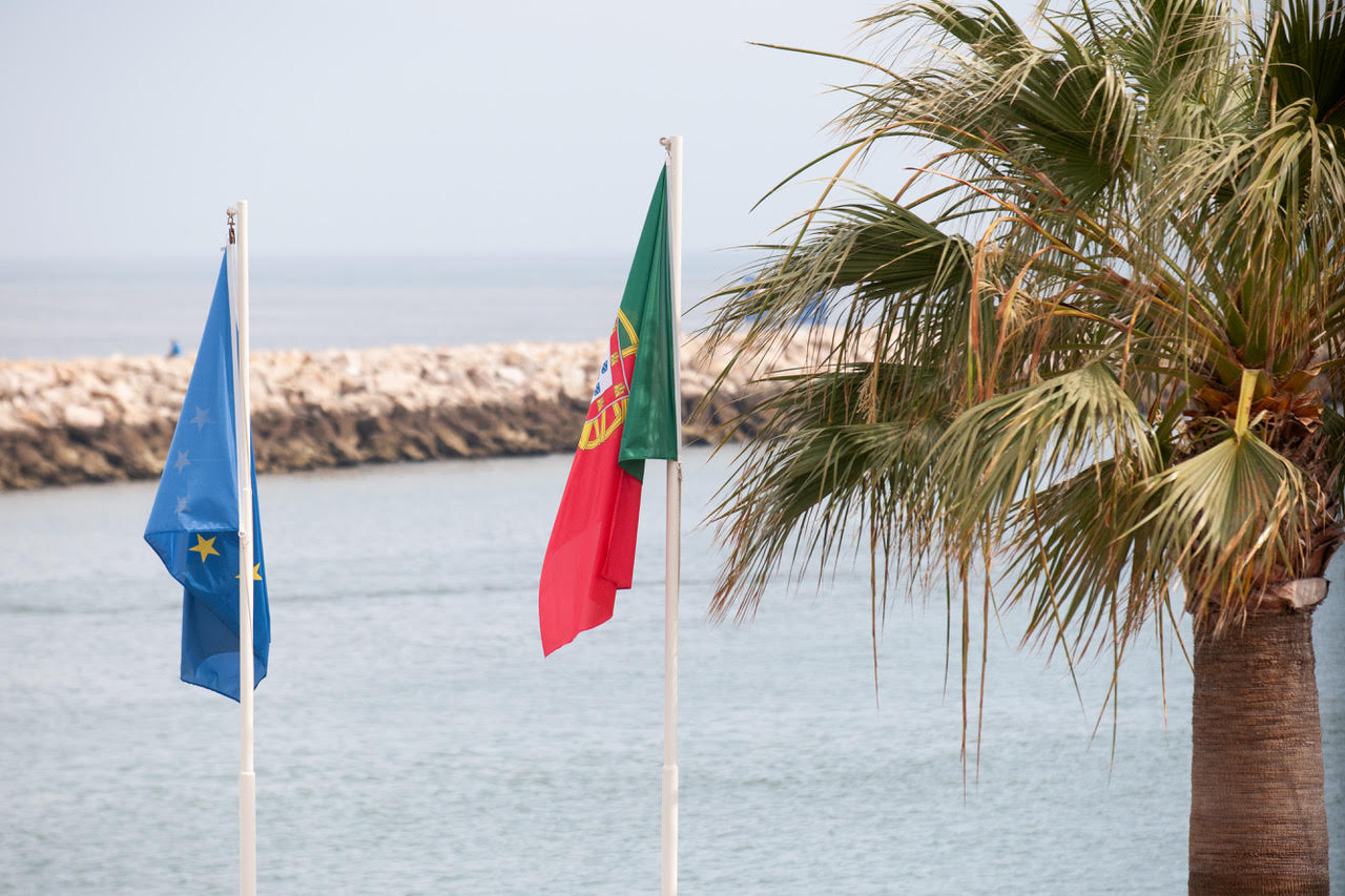 Sul Informação - Vento fraco cancelou regatas no Mundial de Vela