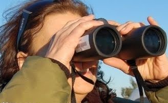 Sul Informação - Parque do Vale do Guadiana só tem um Vigilante de Natureza e CCDRA do Algarve não tem nenhum