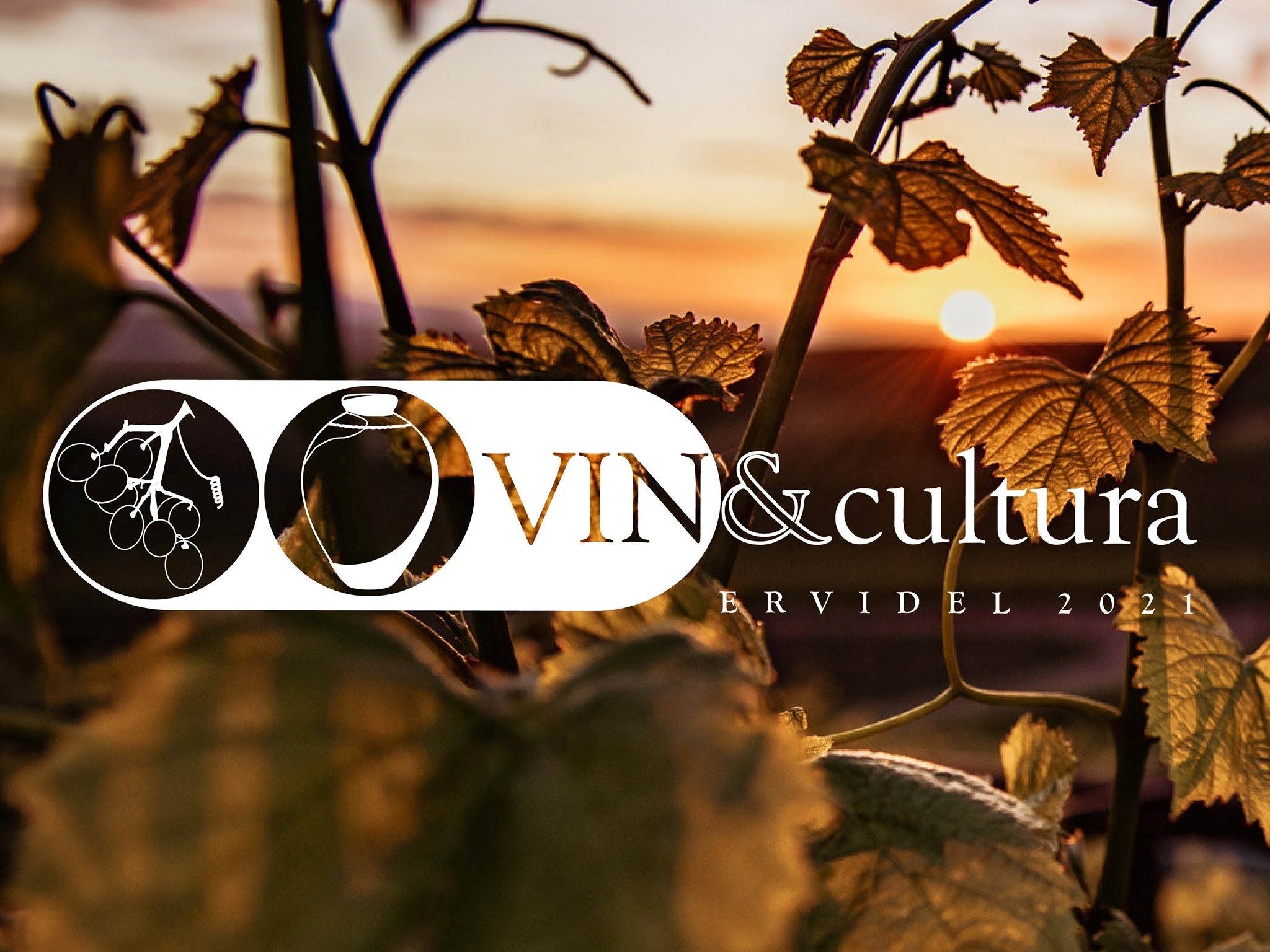 Sul Informação - Vin&Cultura regressa a Ervidel com novo formato