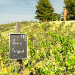 Sul Informação - Quinta dos Vales inaugura adega para Private Winemakers