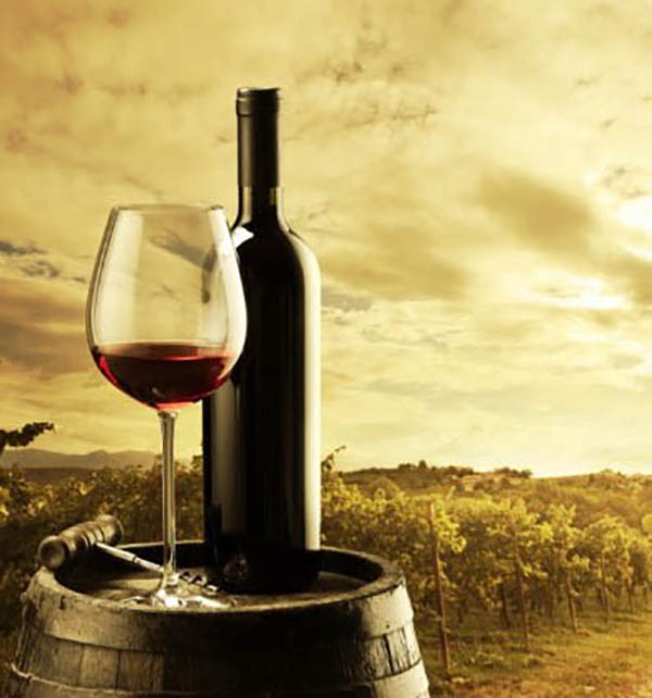 Sul Informação - Vinho artesanal da Nave de Barão volta a dar-se a provar em festival
