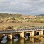 Sul Informação - Groenewegen (Team Lotto) ganha 1ª etapa da Volta ao Algarve [com fotos]
