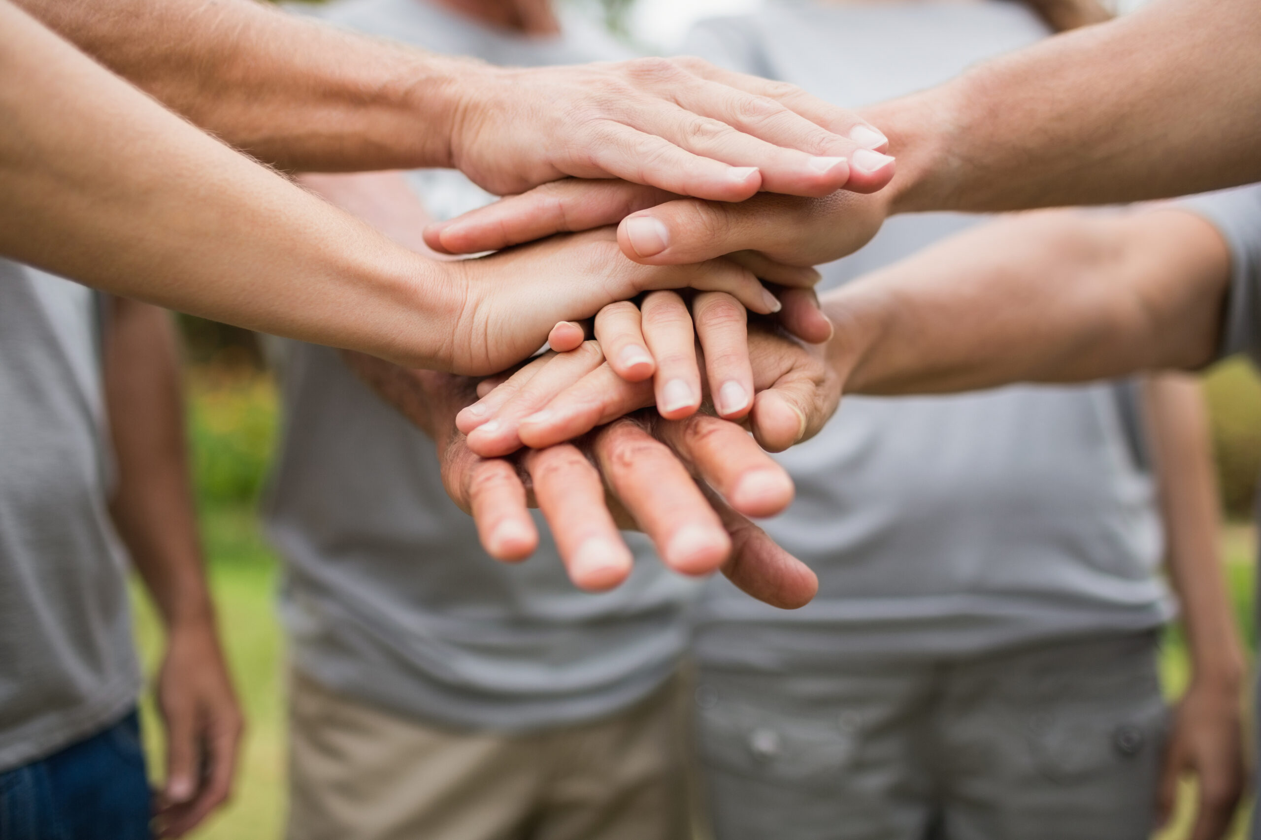 Sul Informação - Odemira abre candidaturas para o projeto de voluntariado jovem
