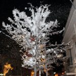 Sul Informação - Fotogaleria: «White Friday» cobriu Loulé de neve