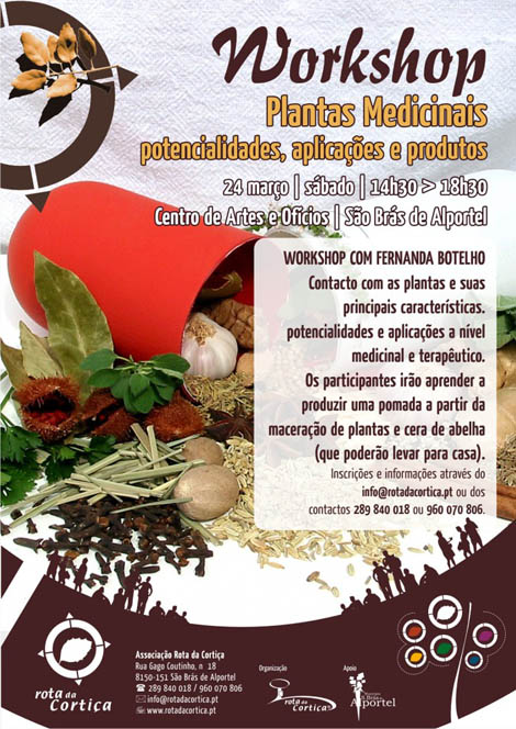 Sul Informação - Centro de Artes e Ofícios de São Brás desvenda segredos das plantas