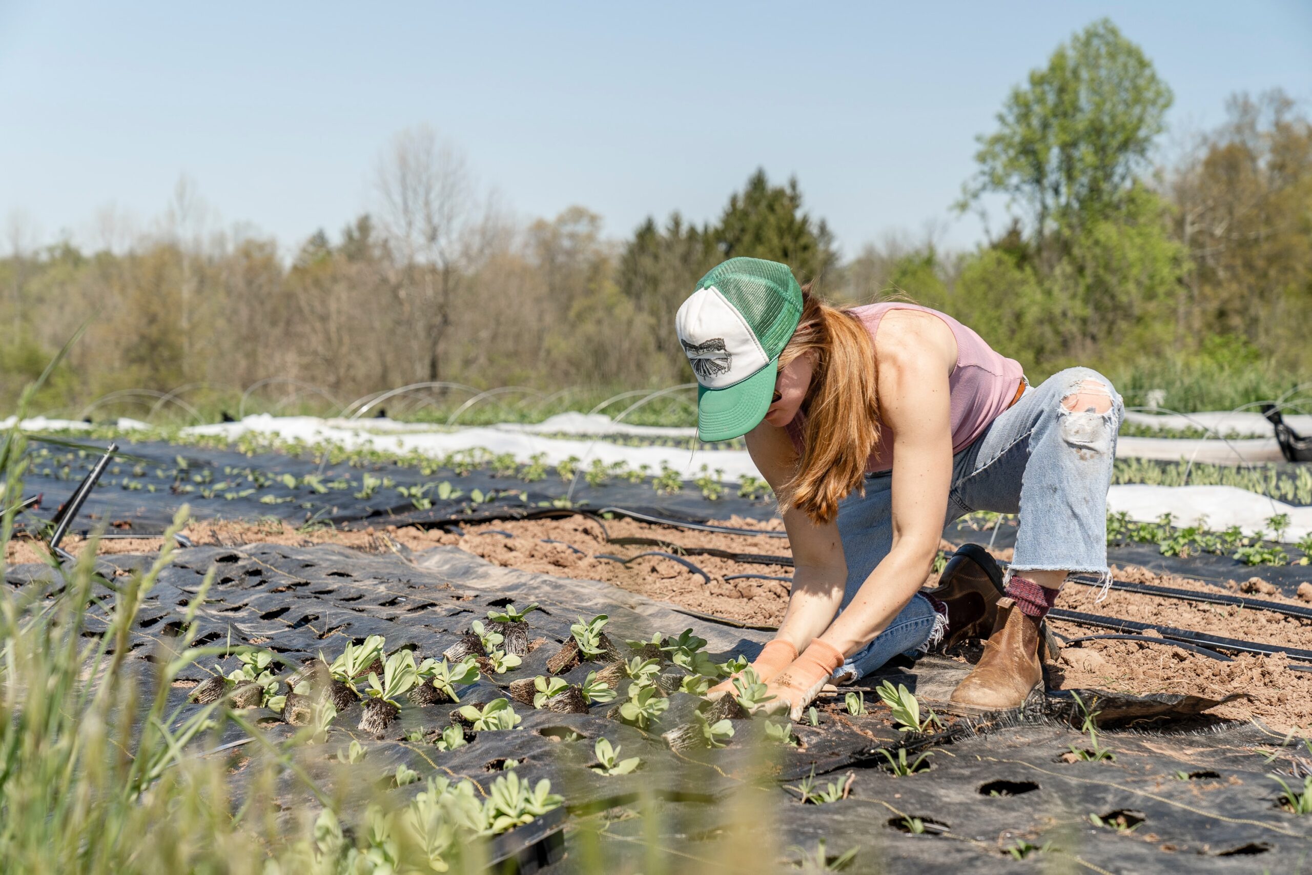 Sul Informação - Quer saber mais sobre agricultura sustentável? Esta formação ajuda