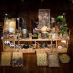 Sul Informação - Vamos “Lavrar o Mar” com novo circo, “pasta” à moda algarvia e legumes sonoros