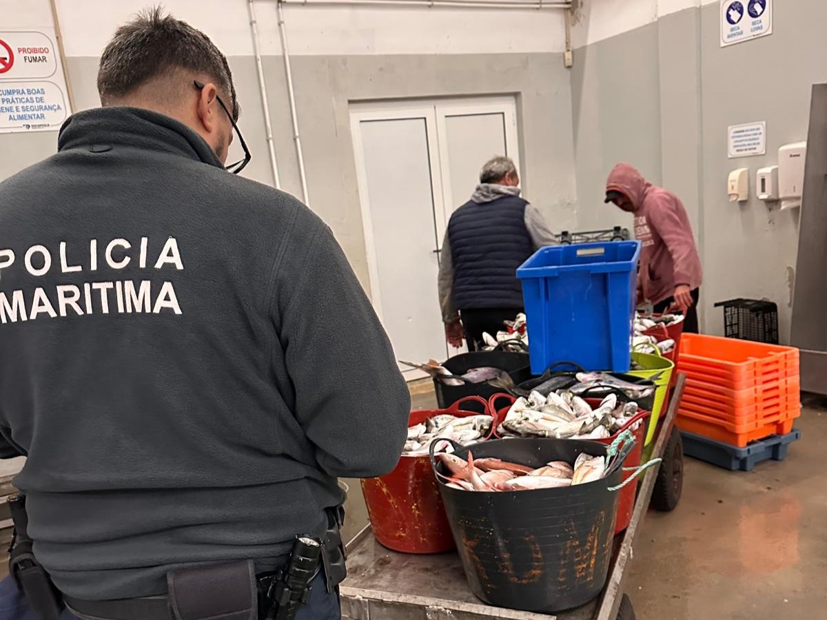Sul Informação - Polícia Marítima aprende 575 quilos de pescado em Tavira