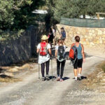Sul Informação - Festival de caminhadas convida a conhecer os trilhos e a riqueza de Santa Bárbara de Nexe