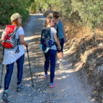 Sul Informação - Festival de caminhadas convida a conhecer os trilhos e a riqueza de Santa Bárbara de Nexe