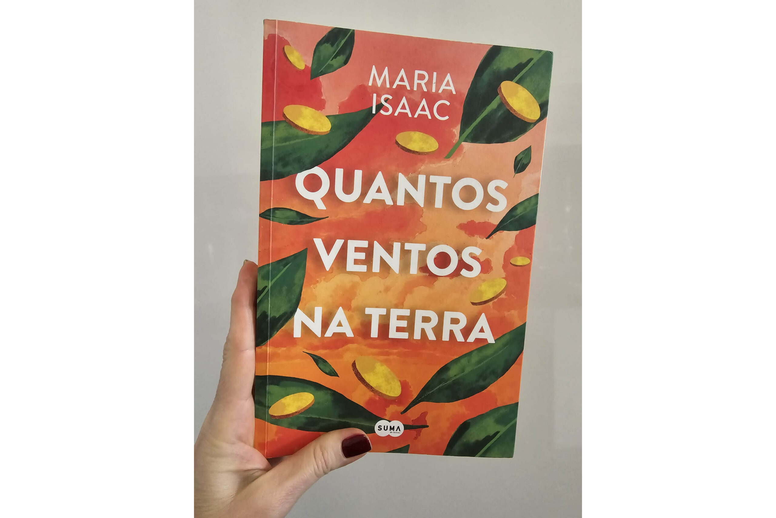 Sul Informação - Quantos Ventos na Terra?