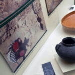 Sul Informação - Nos bastidores do Museu: “Loulé tem muito património e nós temos de o preservar”