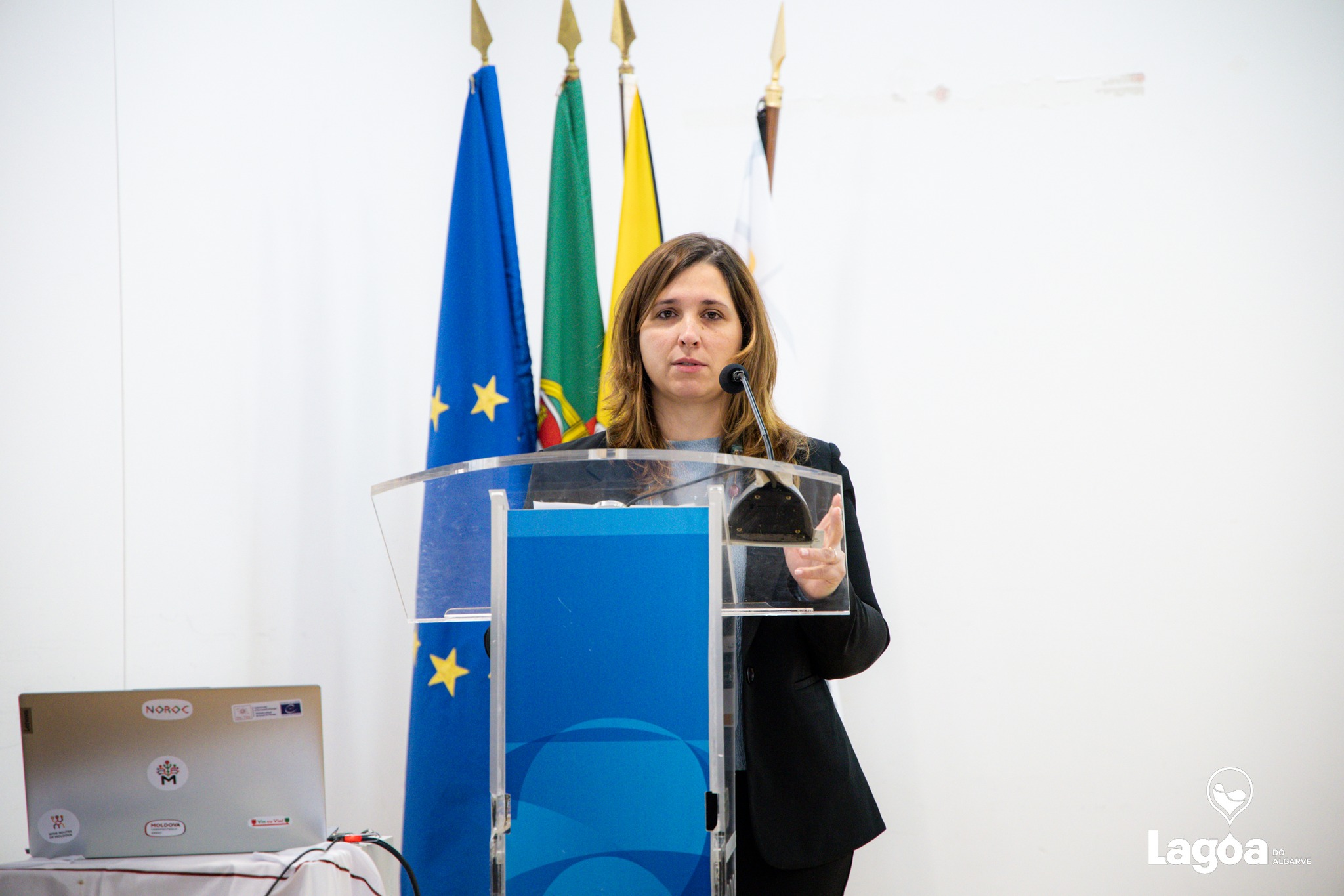Sul Informação