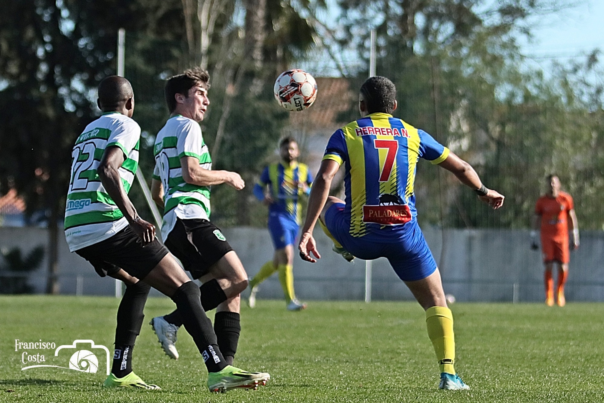 Sul Informação - Ferreirense causa surpresa nos oitavos de final da Taça do Distrito de Beja