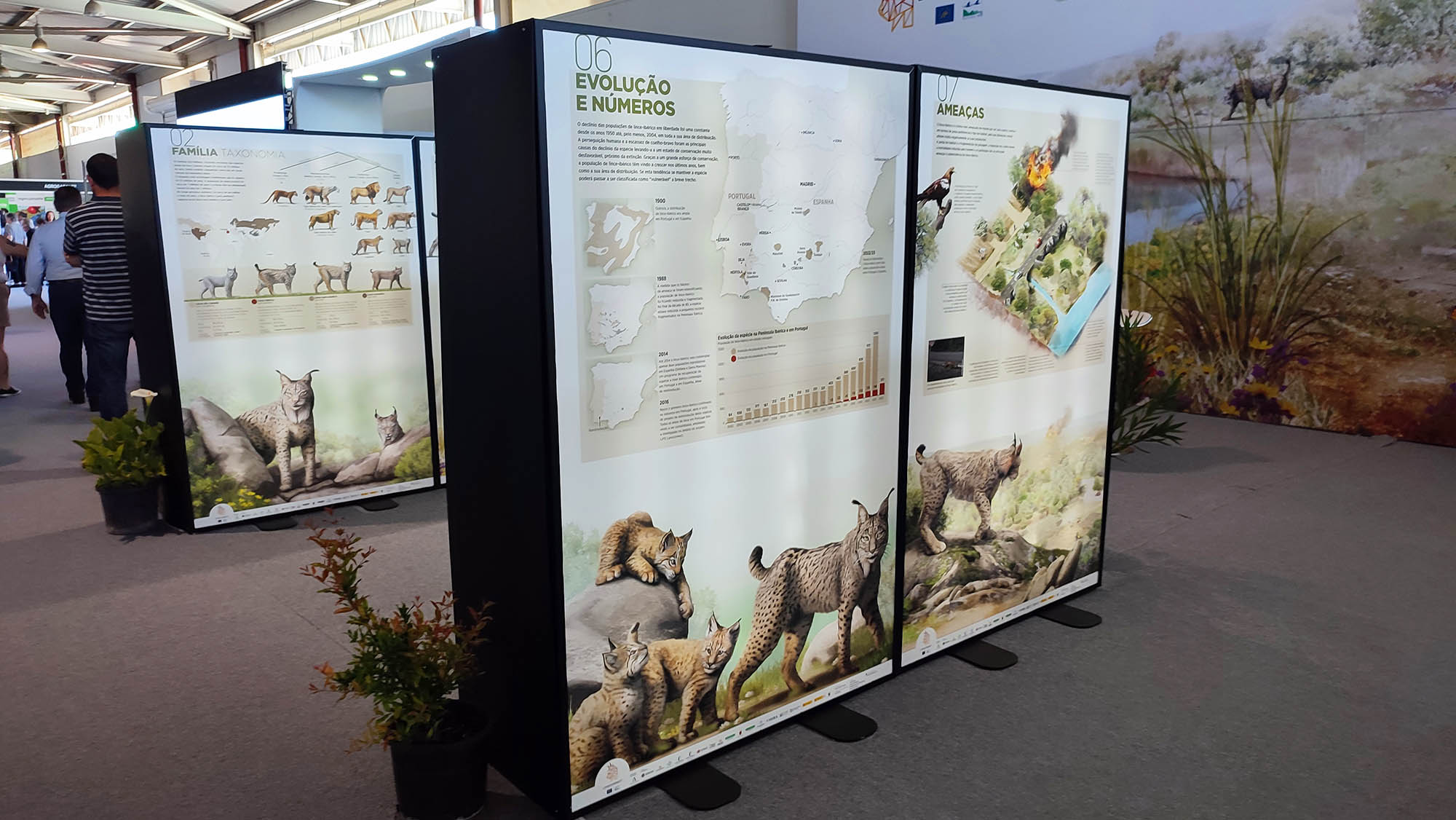 Exposição Lince Ibérico