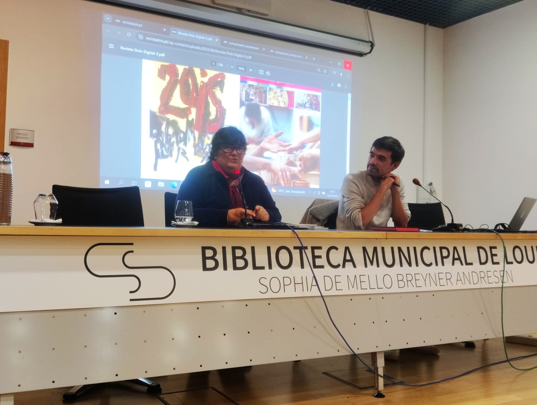 Sul Informação