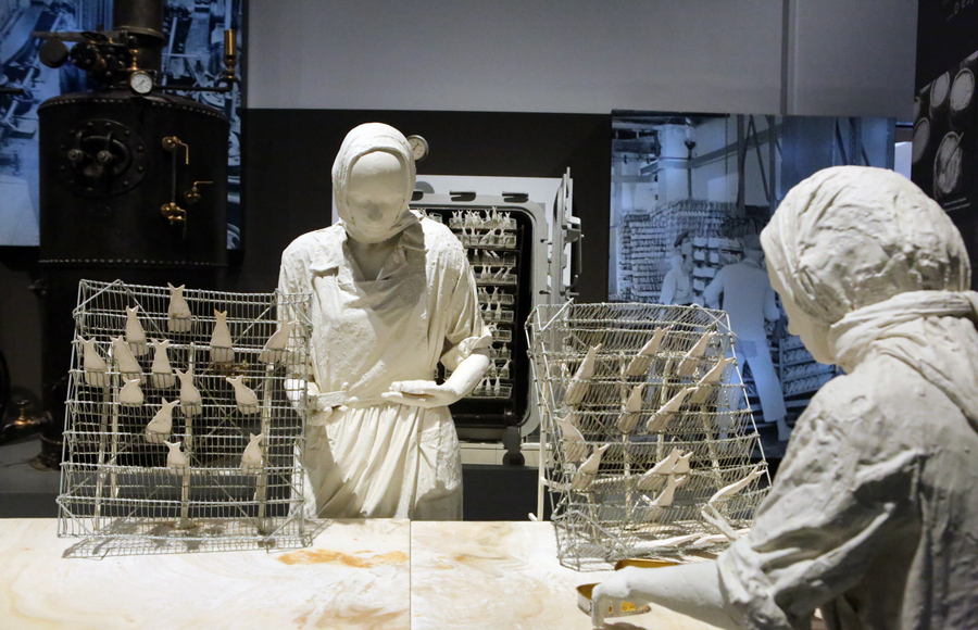 Sul Informação - Museu de Portimão abre portas “À Descoberta do Turismo Industrial”