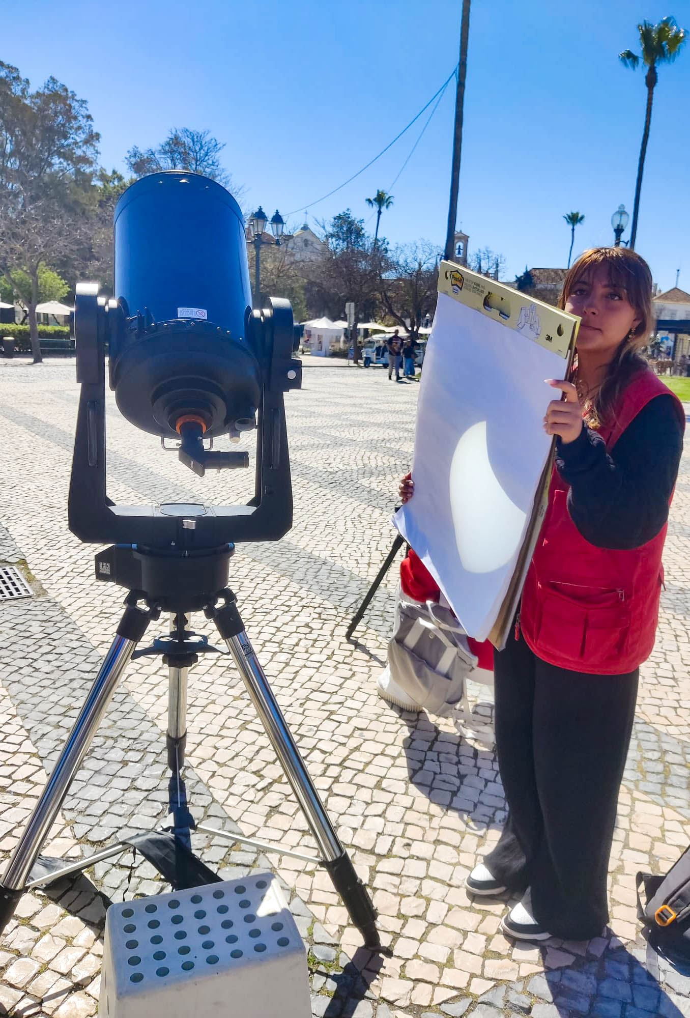 Sul Informação
