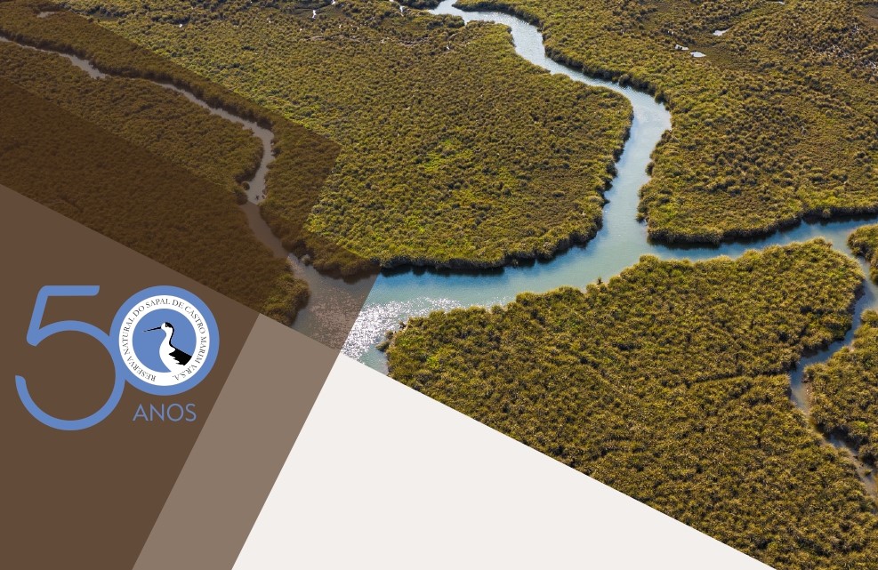 Sul Informação - Reserva Natural do Sapal celebra 50 anos com atividades abertas à comunidade