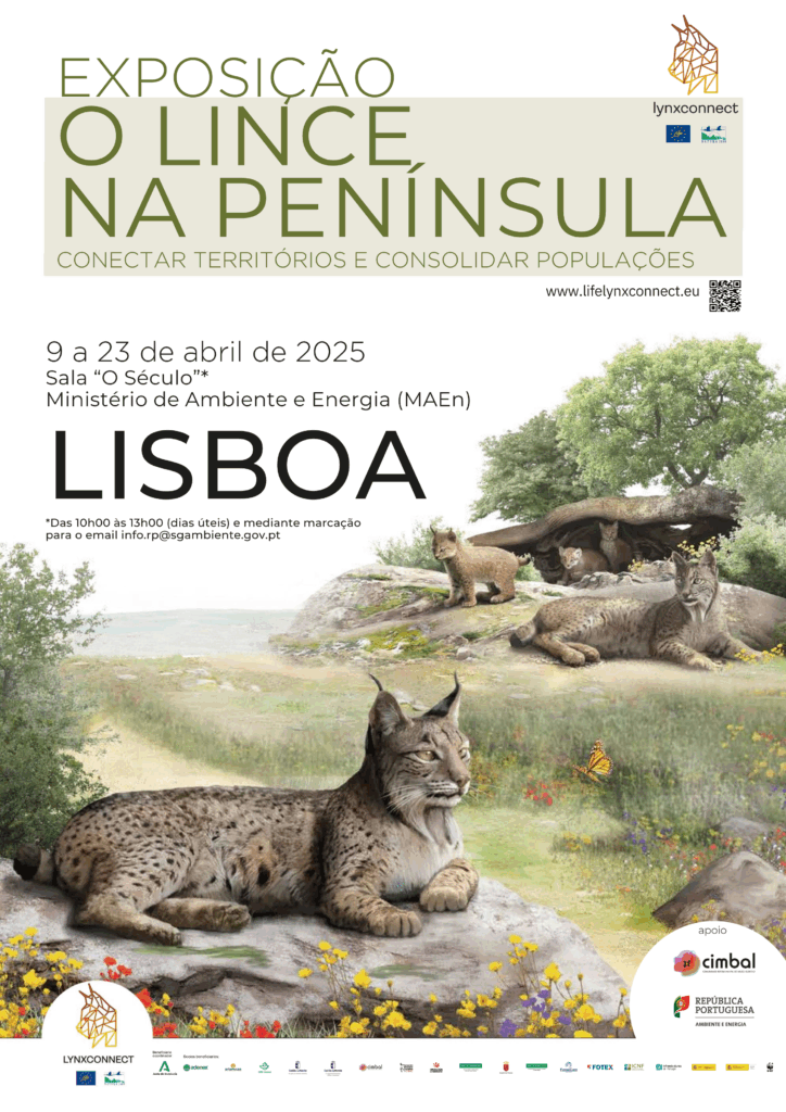Sul Informação