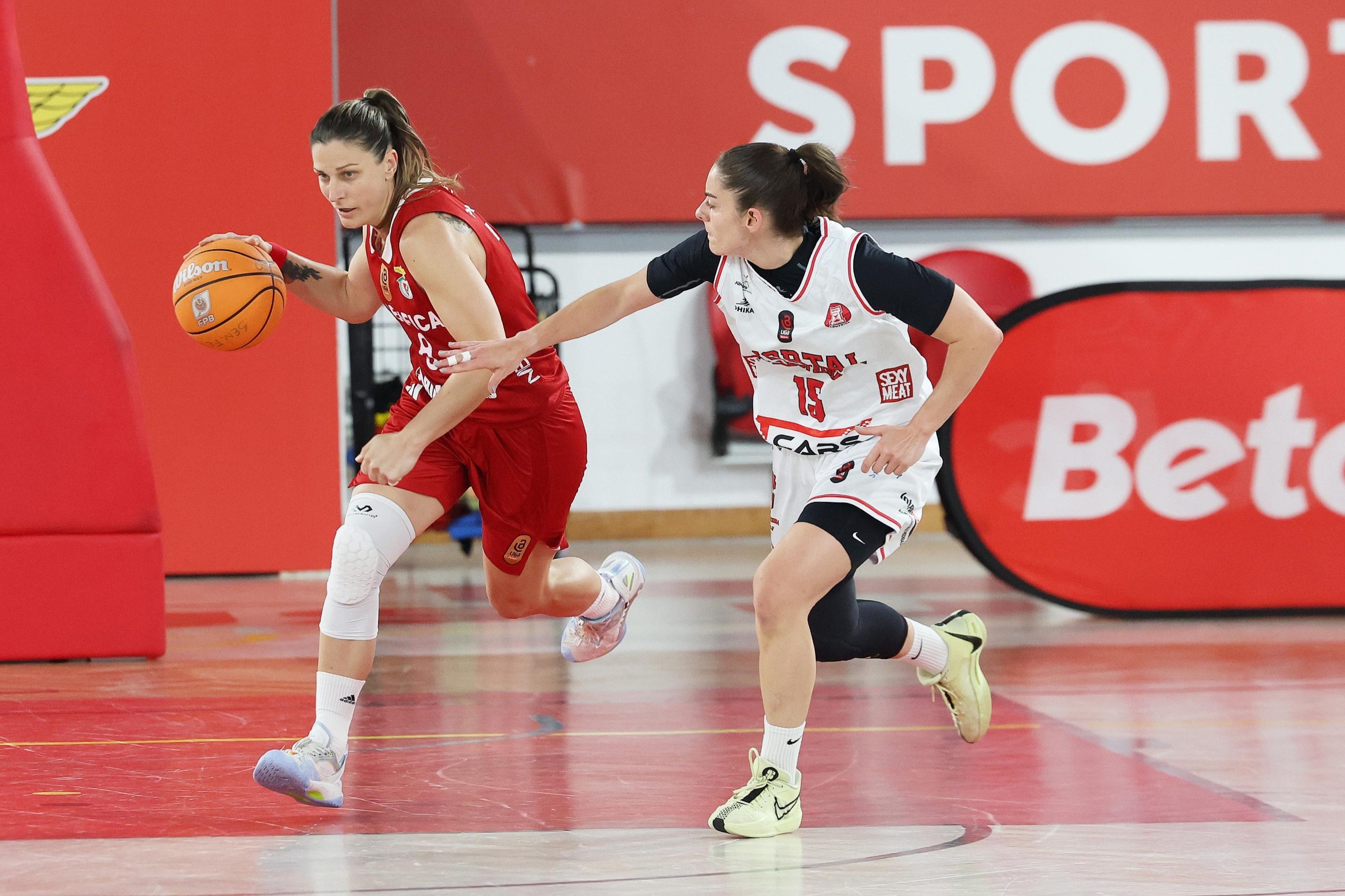 Basquetebol