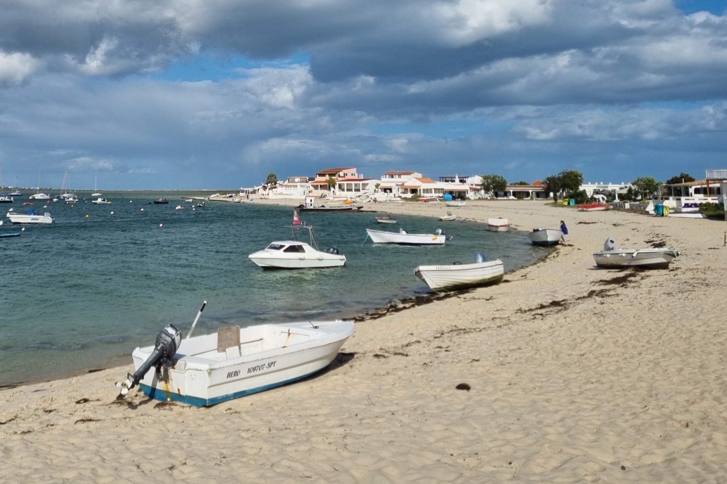Armona
