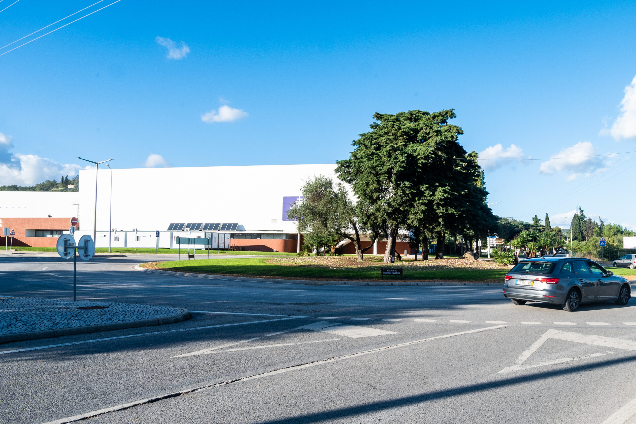 Sul Informação - Rotunda do Pavilhão de Loulé vai ter espécies autóctones