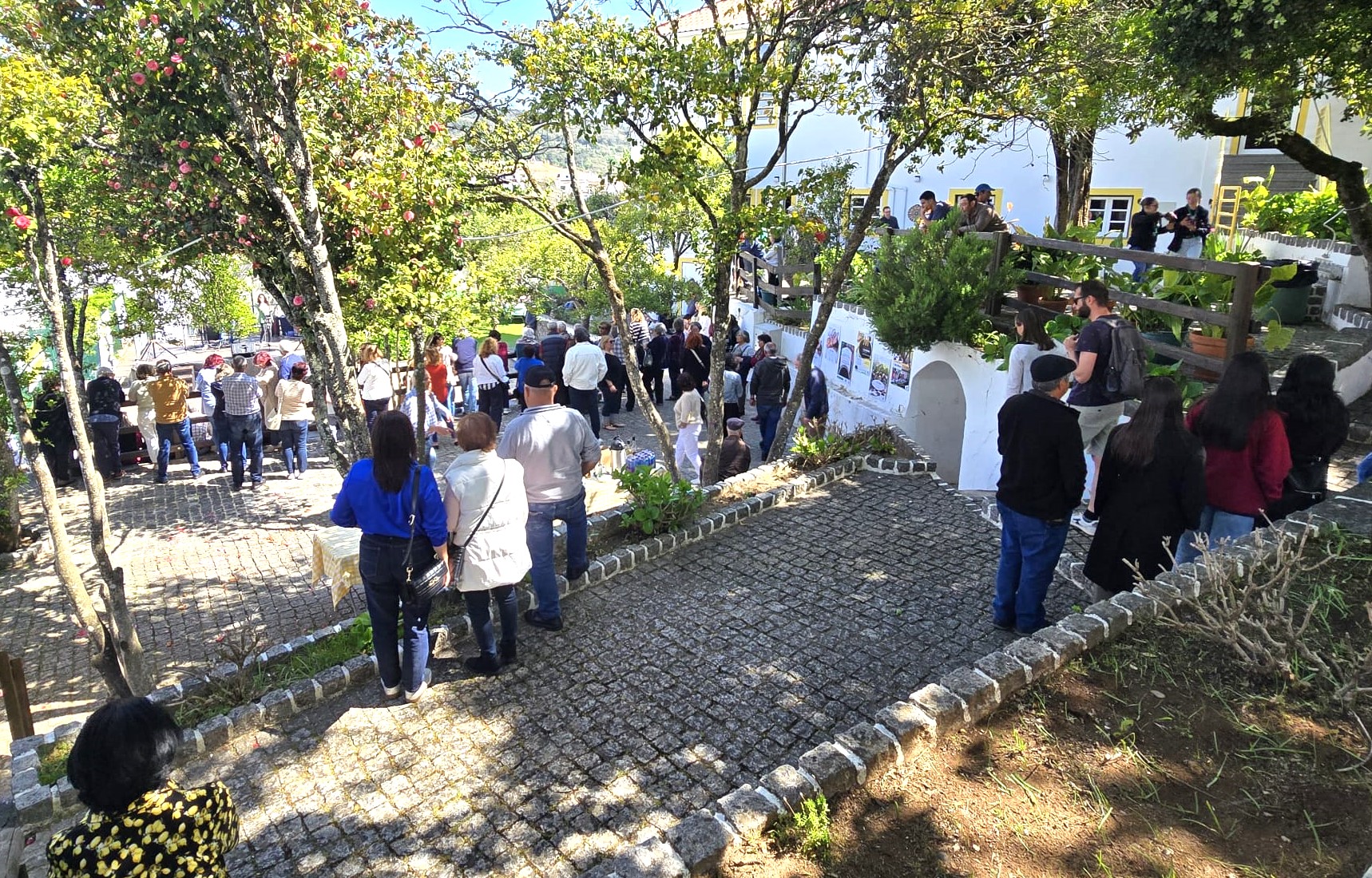 Sul Informação - Monchique festejou o seu Bolo de Tacho