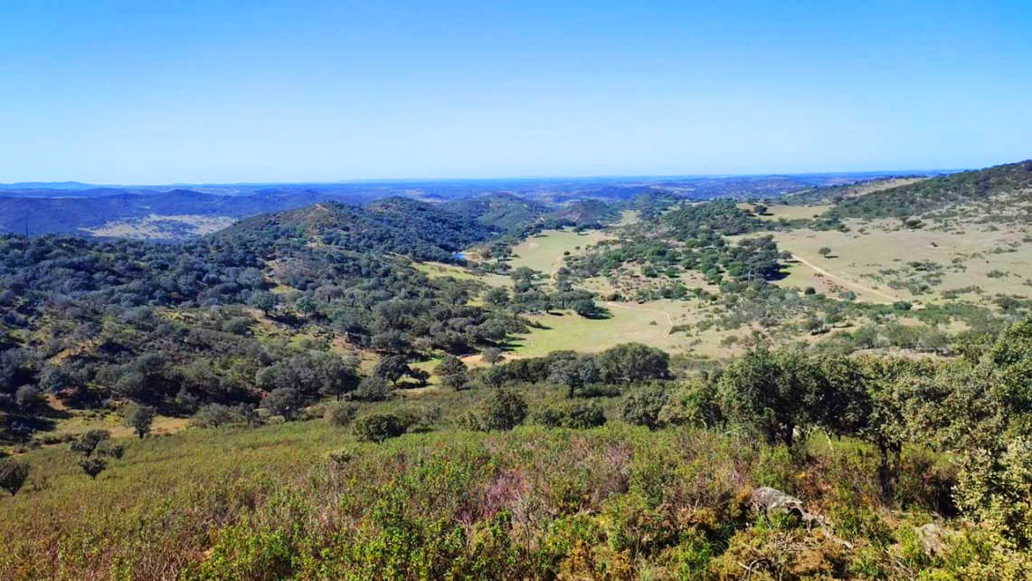 Sul Informação - Há uma área do Alentejo com 56 mil hectares classificada como Zona Especial de Conservação