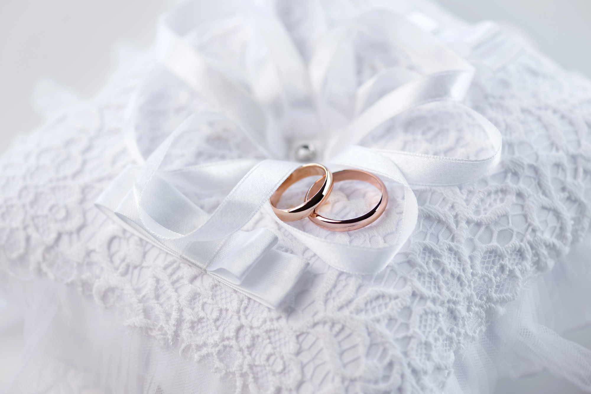 Sul Informação - Silves celebra casais que assinalam bodas de ouro em 2025