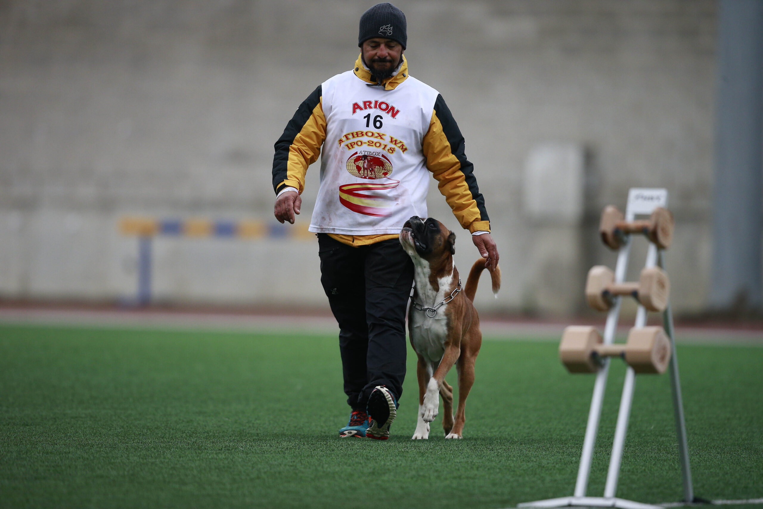 Sul Informação - Masterclass gratuita de treino canino realiza-se em Quarteira