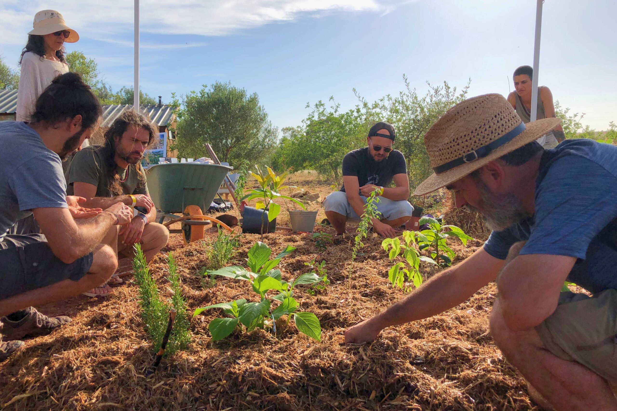 Sul Informação - Quer criar uma floresta comestível? Formação em Castro Marim vai dar dicas