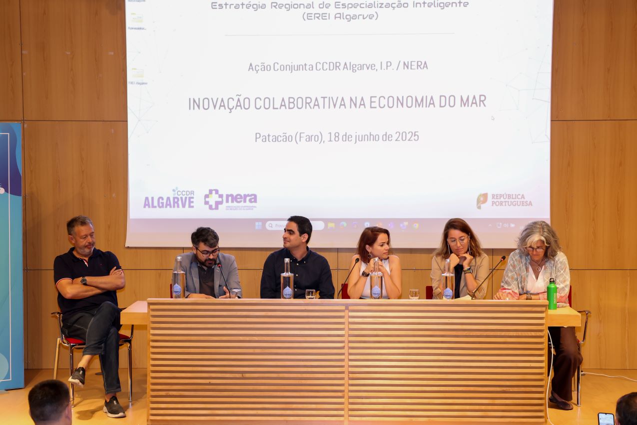 Sul Informação