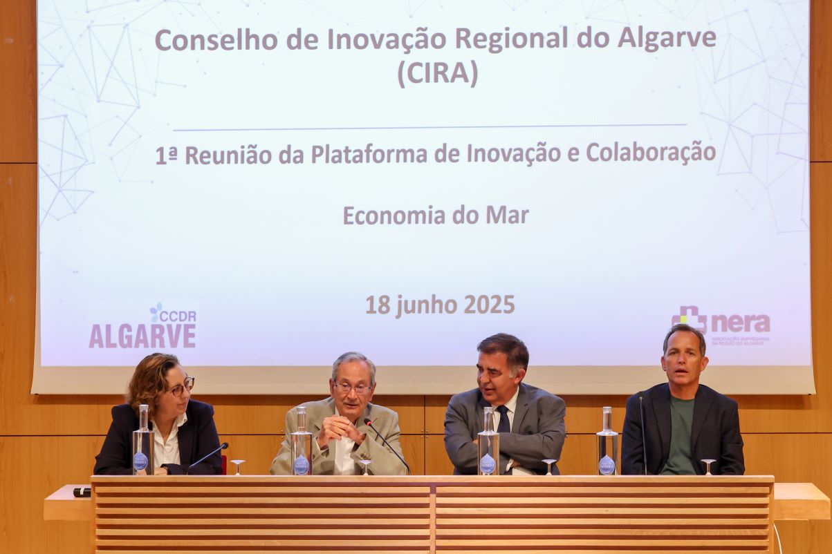 Sul Informação
