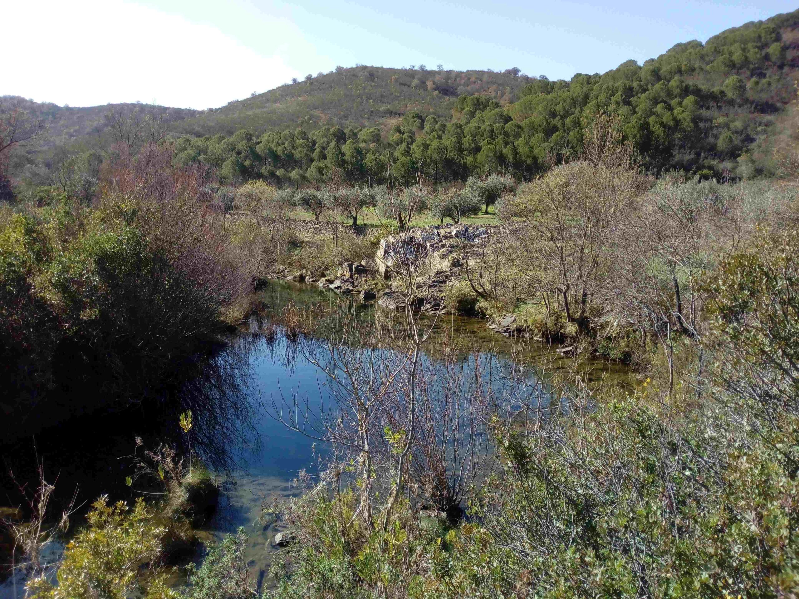 Sul Informação - Projeto Plantar Água recupera mais 80 hectares na Serra do Caldeirão