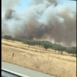 5 meios aéreos combatem incêndio em pasto e montado em Serpa