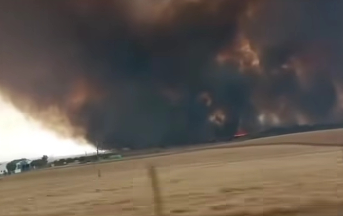 Sul Informação - Agricultores afetados pelo incêndio em Aljustrel recebem feno para alimentar animais