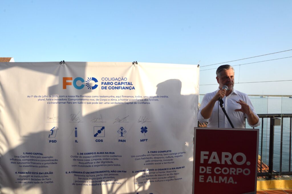 Sul Informação