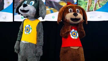 2 - PC mascotes|1 PC Herois