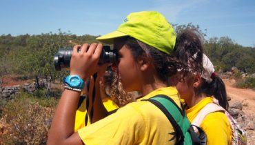 Brigada jovem de vigilância florestal|Brigada jovem de vigilância florestal