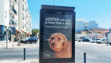 2022-084-campanha-abandono animal-05|2022-084-campanha-abandono animal-06|2022-084-campanha-abandono animal-04|2022-084-campanha-abandono animal-02|2022-084-campanha-abandono animal-03|2022-084-campanha-abandono animal-01