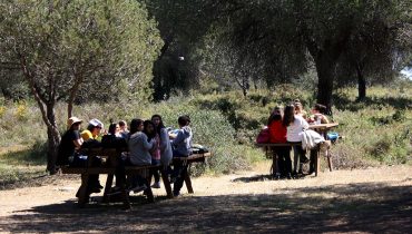 A almoçar à sombra dos Pinheiros de Marim