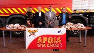 APAL BVA 003|APAL BVA 008|APAL BVA 007|APAL BVA 004|APAL BVA 001