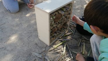 Abrigos insetos