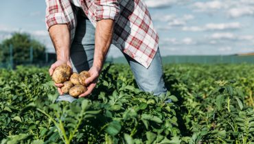 Agricultura_agricultores_Depositphotos_162344672_XL (Medium)