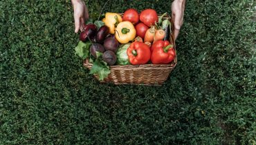 Agricultura_agricultores_agricultura biologica_horta urbana_Depositphotos_162344890_XL (Medium)