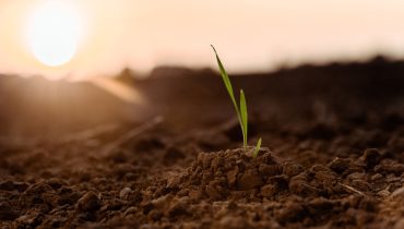 Agricultura_agricultores_agricultura biologica_horta urbana_Depositphotos_301398742_XL (Medium)